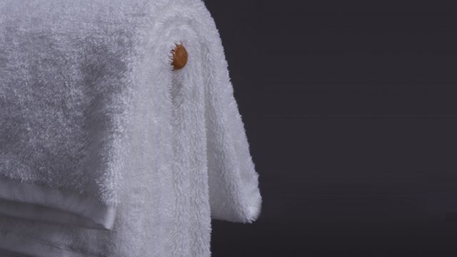 InnoTex Cloud Towel