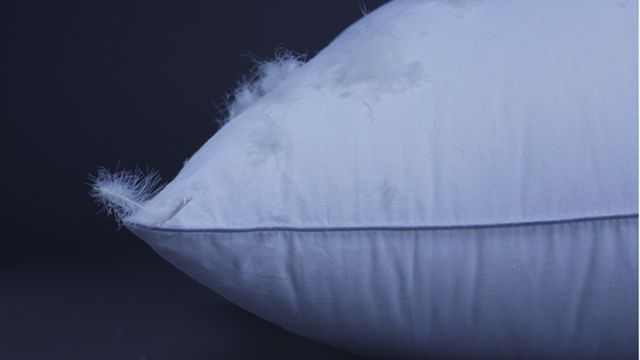 InnoTex Soft Multi Chamber Pillow